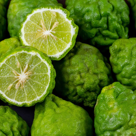 Bergamot Fragrance Oil