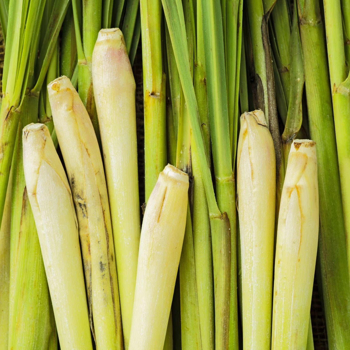 Lemongrass Fragrance Oil