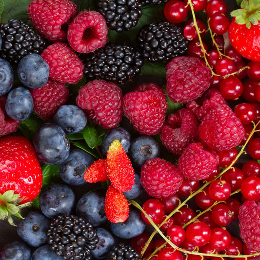 Red Fruits & Berries Fragrance Oil