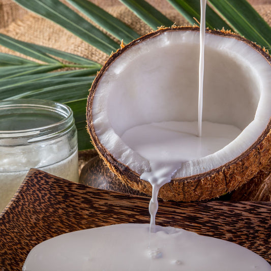 Coconut Santan Fragrance Oil