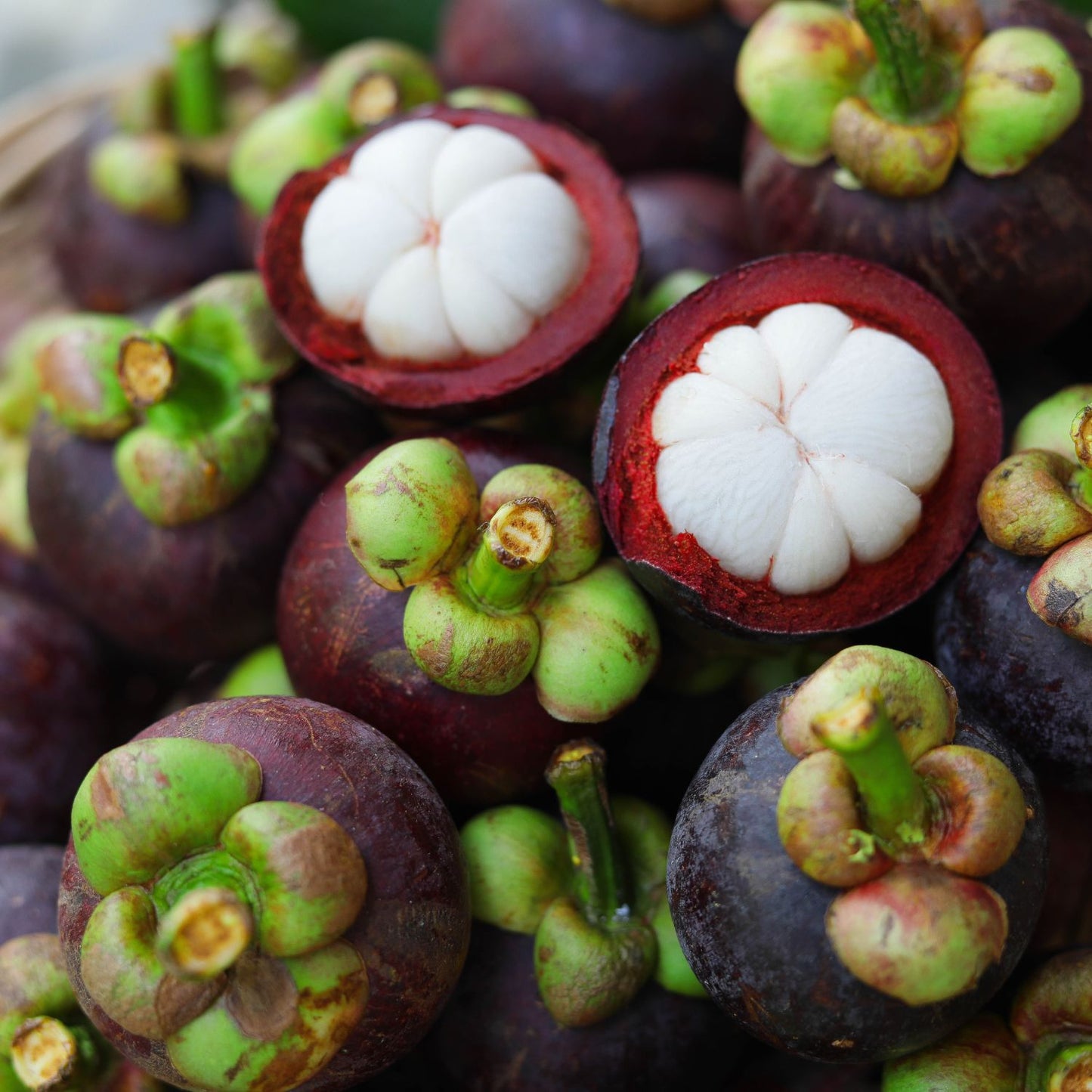 Mangosteen Fragrance Oil