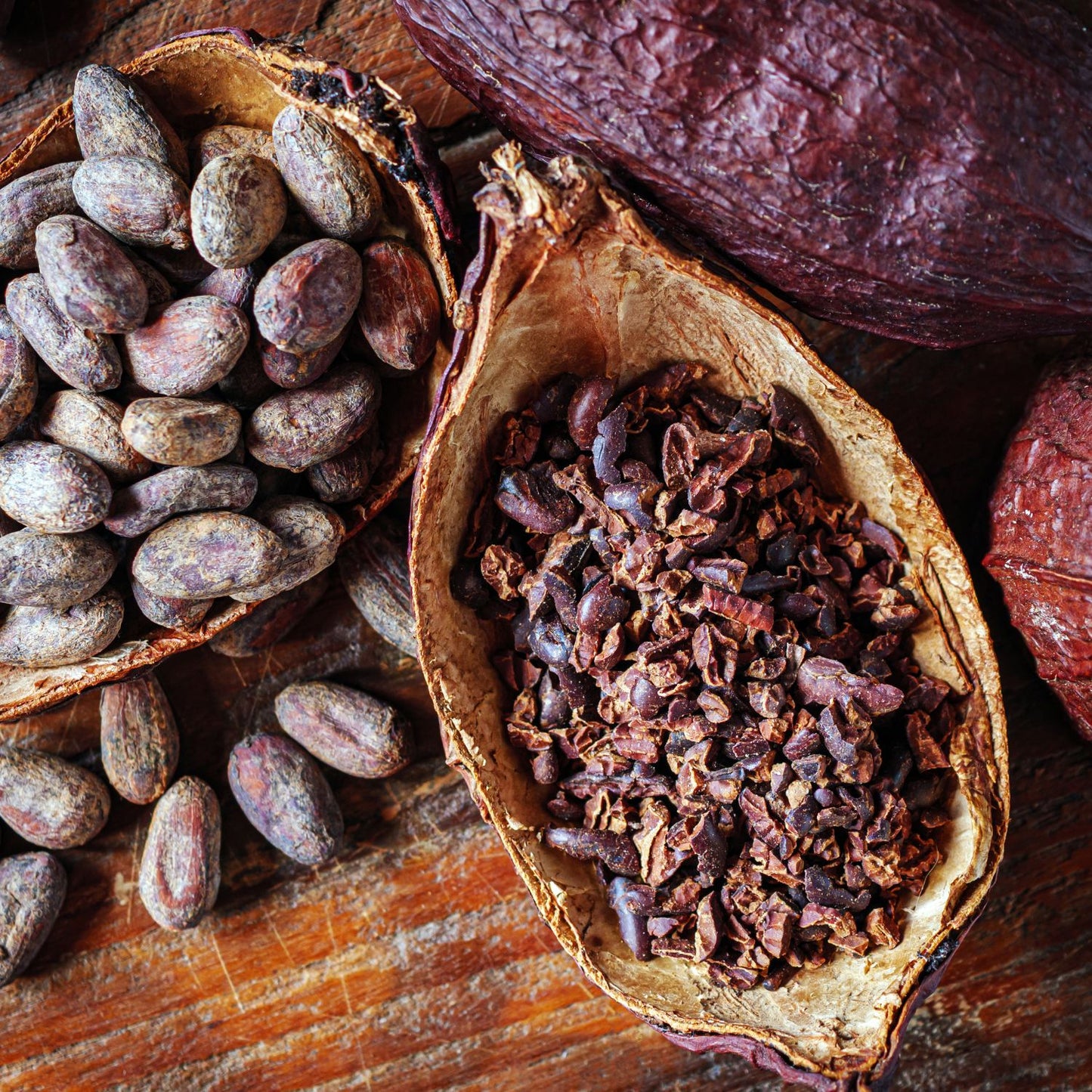 Cocoa Bean Fragrance Oil