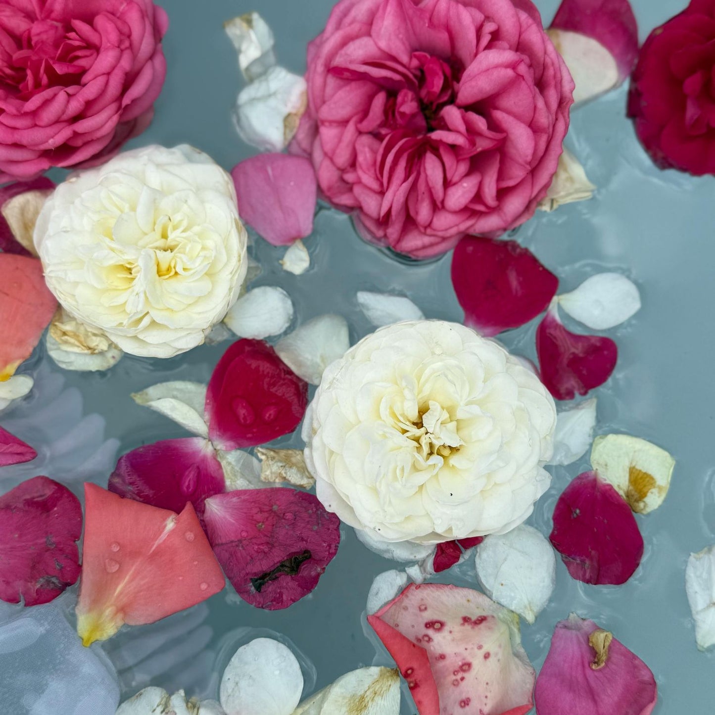 Flower Water Fragrance Oil