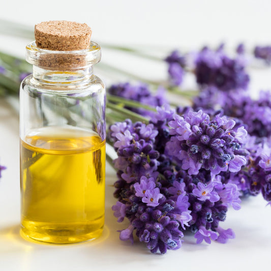 Lavender Fragrance Oil