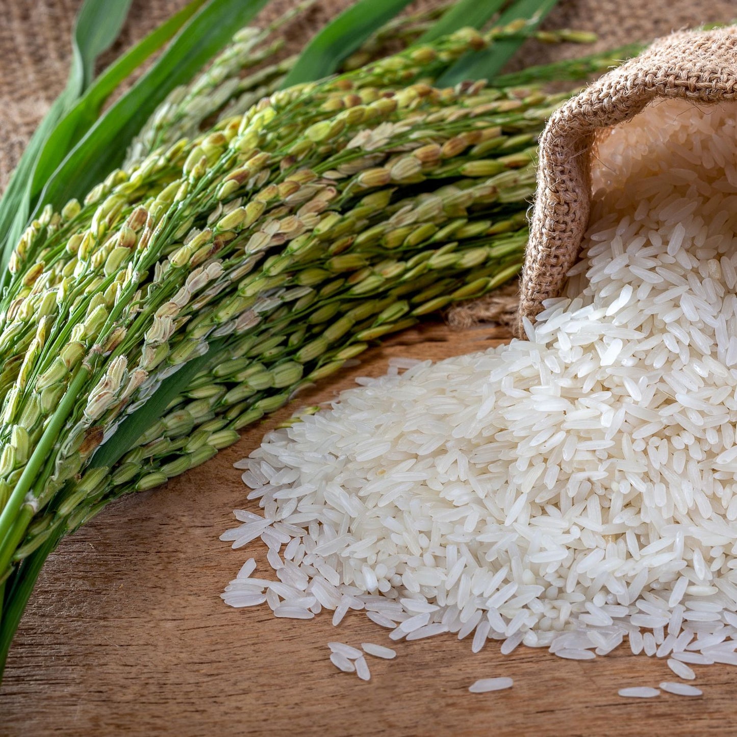 Jasmine Rice Fragrance Oil