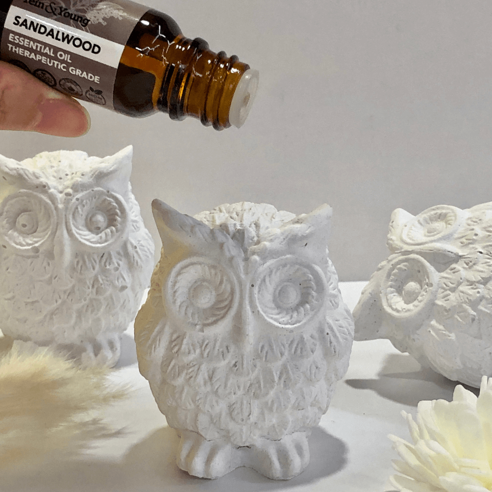Aroma Owlet (Free Fragrance Oil)