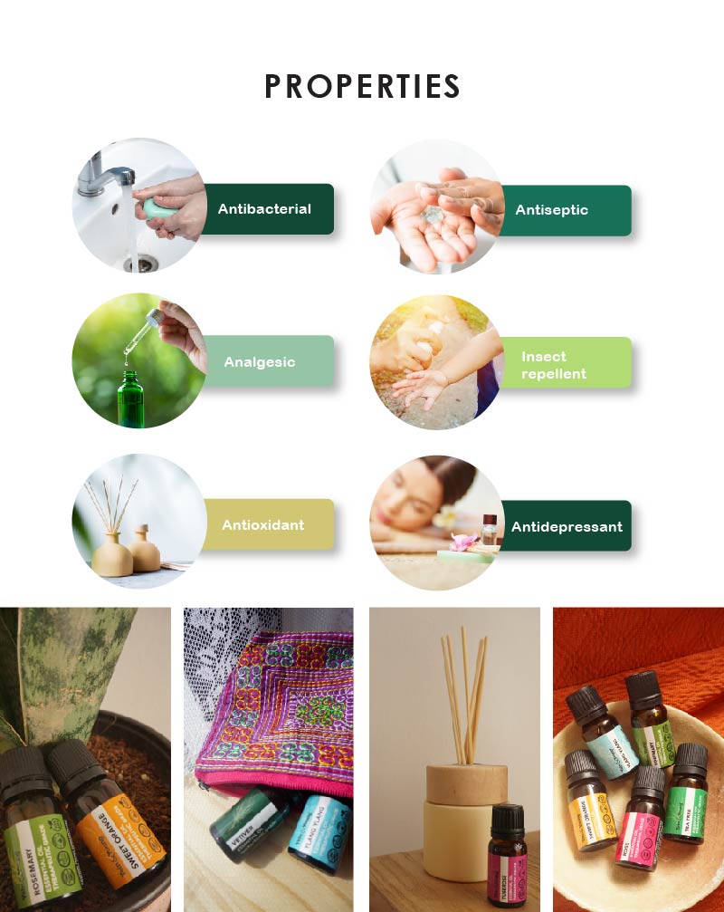 Yein&Young Rosemary Essential Oil - 10ml (Buy 2 Get 2 Free)