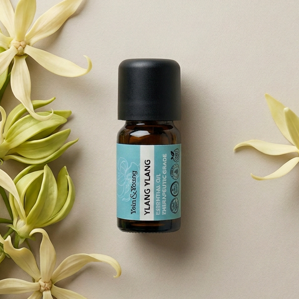 A 10ml bottle of Yein&Young Ylang Ylang Essential Oil with a black cap and a label that includes the brand name, product name, and botanical name.