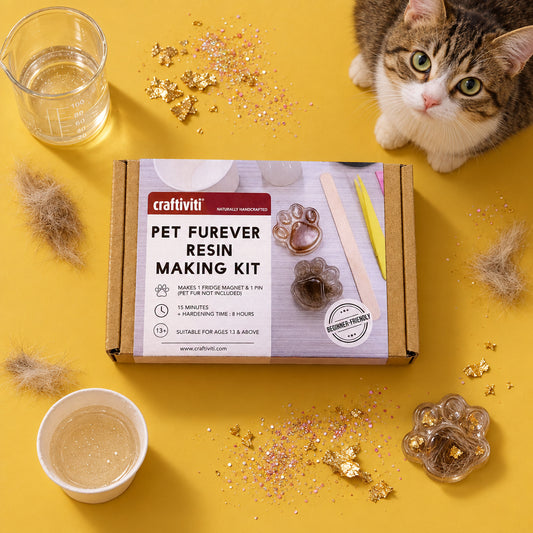 A cardboard box for the craftiviti Pet Furever Resin Making Kit, photographed from above on a textured beige floor. The front of the box features a printed graphic of paw-shaped resin magnets, a wooden stick, tweezers, and tools, with the brand name 'craftiviti' clearly visible.