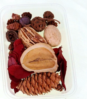 Pine Cones & Dried Fruits
