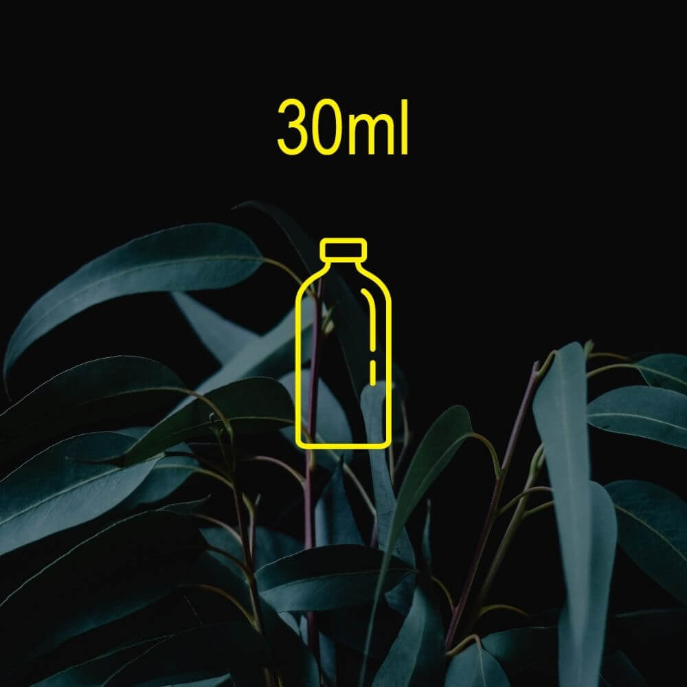 2.0 Eucalyptus Fragrance Oil - 30ml