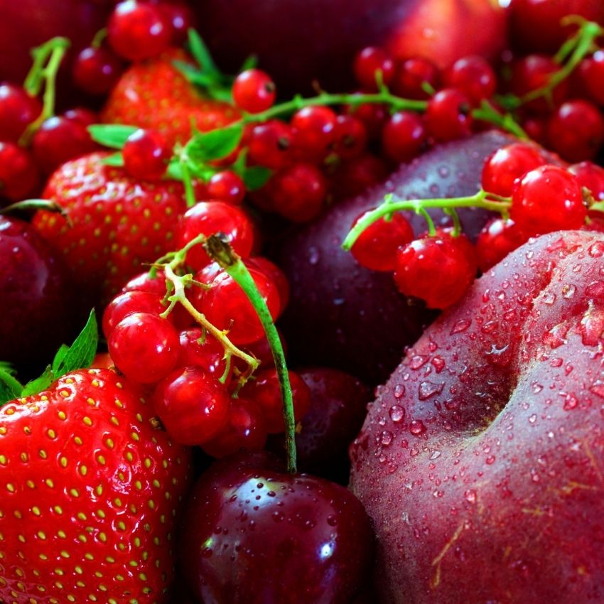 Red Fruits & Berries Fragrance Oil - 30ml
