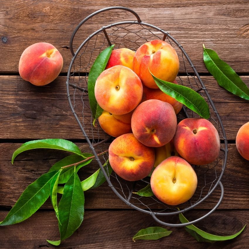Roasted Peach Fragrance Oil - 30ml Ingredients - Craftiviti