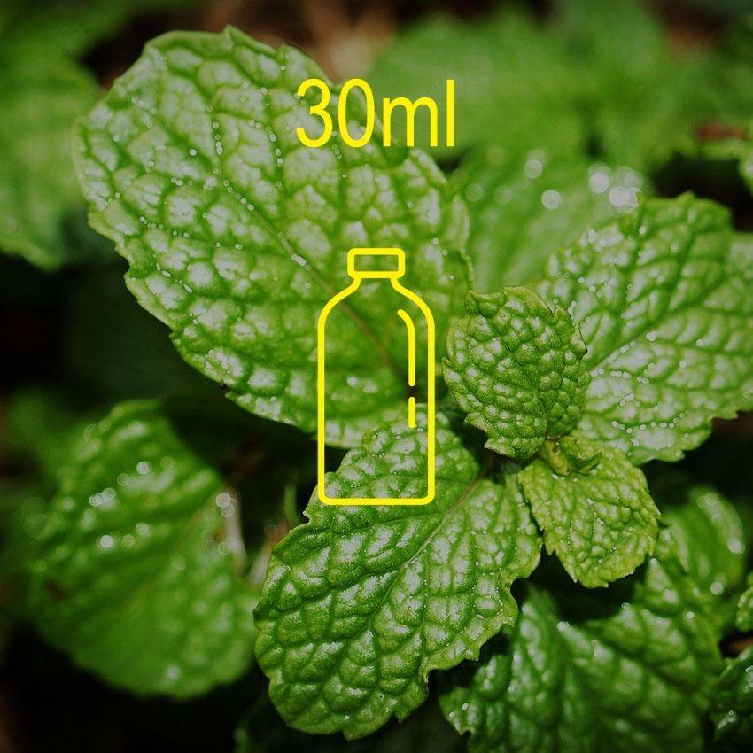 Spearmint Fragrance Oil - 30ml NEWLY IMPROVED Ingredients - Craftiviti