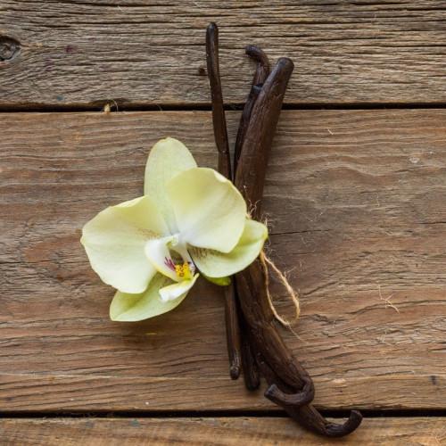 Vanilla Fragrance Oil - 30ml NEWLY IMPROVED Ingredients - Craftiviti