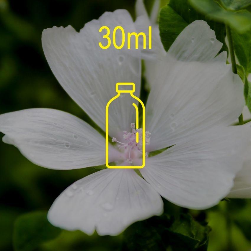 White Musk Fragrance Oil - 30ml Ingredients - Craftiviti