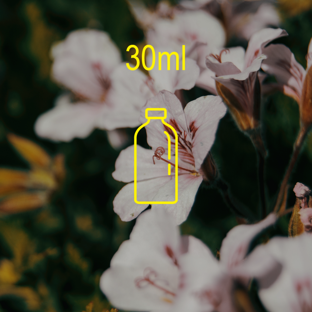Wild Rose & Geranium Fragrance Oil - 30ml