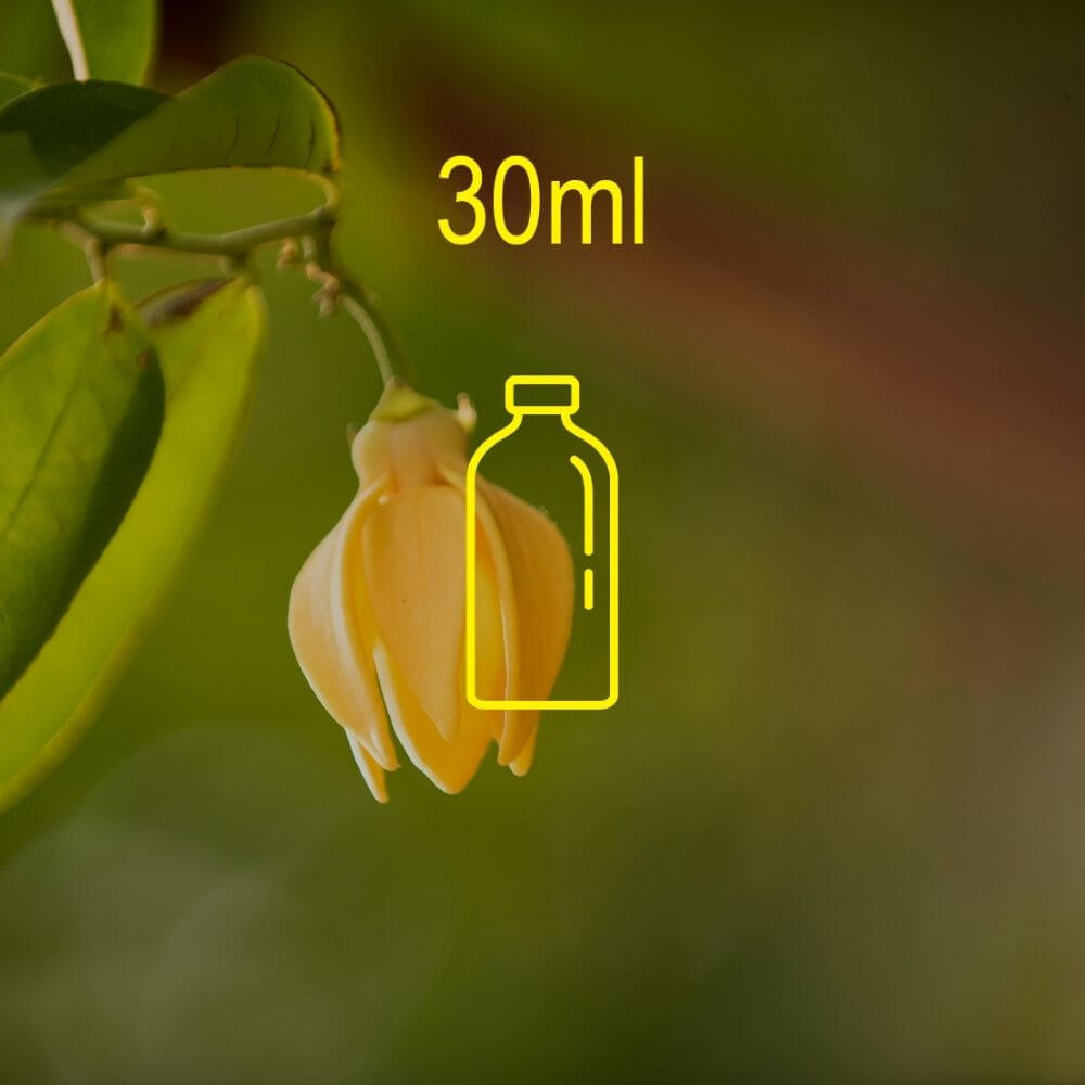 2.0 Ylang Ylang Fragrance Oil - 30ml Ingredients - Craftiviti