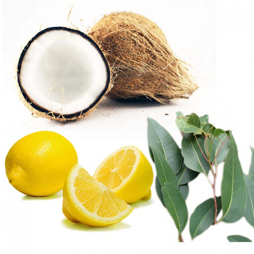 Coco Lemon Eucalyptus Fragrance Oil - 30ml Ingredients - Craftiviti