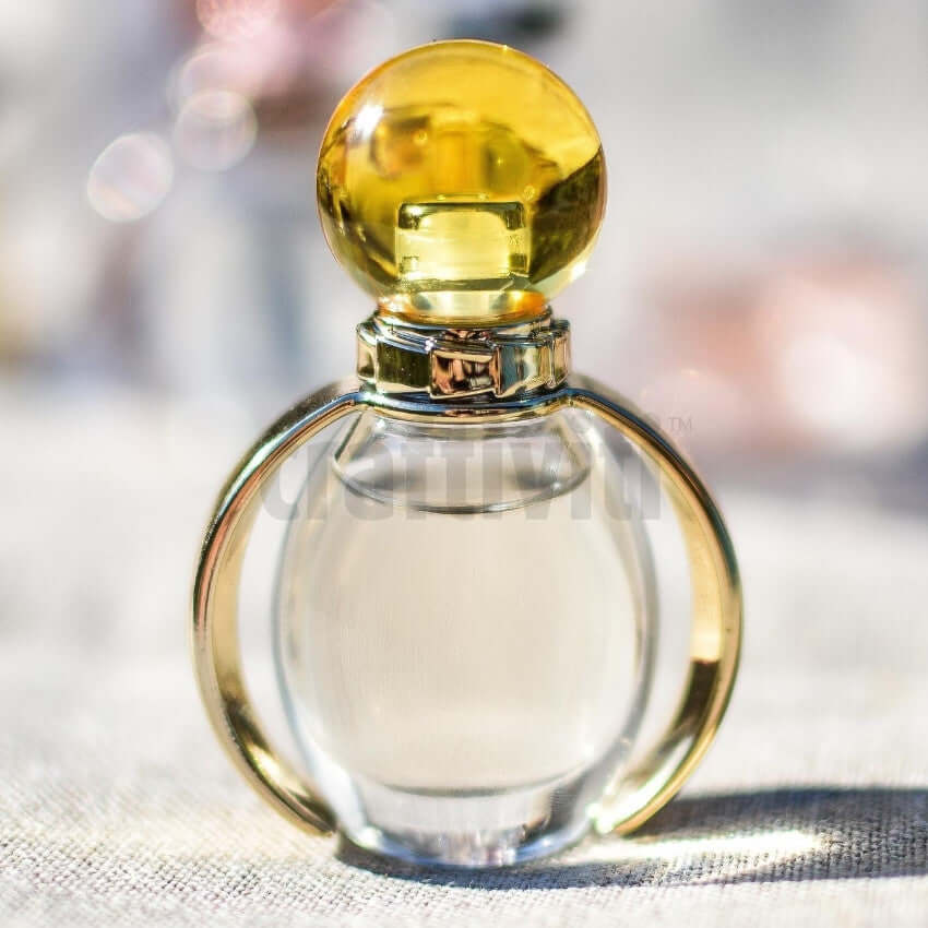 French Cologne Fragrance Oil - 30ml
